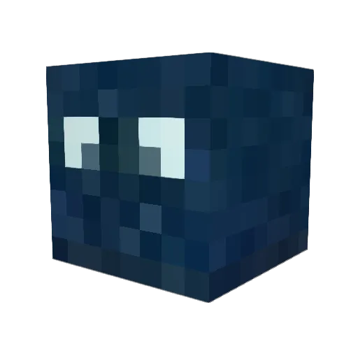Raphonix Minecraft avatar head, 3D render
