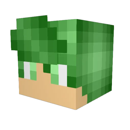 RaphyYT Minecraft avatar head, 3D render