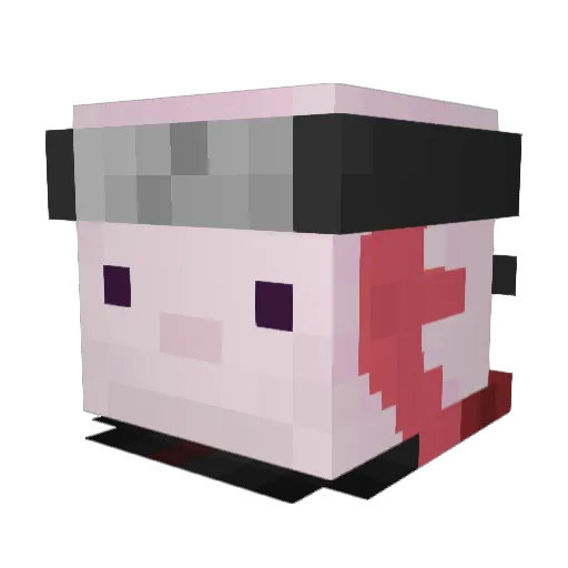 Raphysh Minecraft avatar head, 3D render