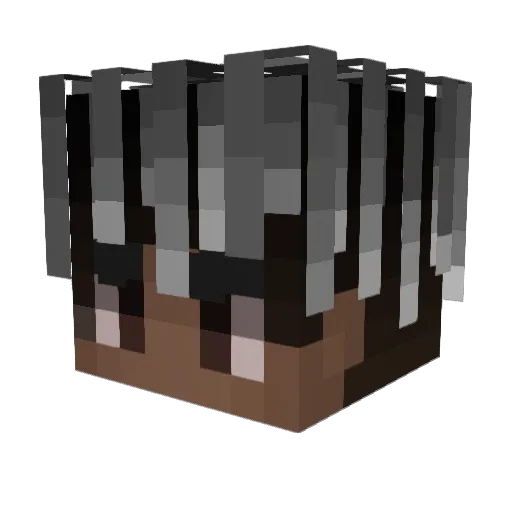 RapiX Minecraft avatar head, 3D render