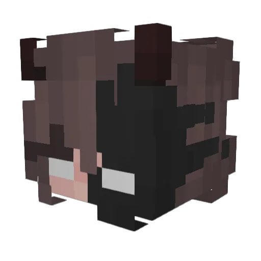 Rapid76 Minecraft avatar head, 3D render