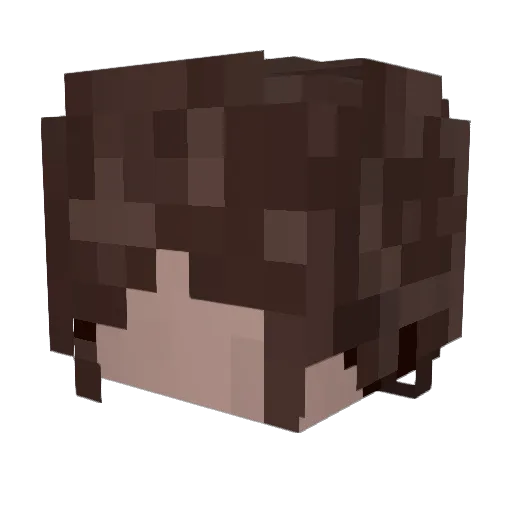 RapidBrayc Minecraft avatar head, 3D render
