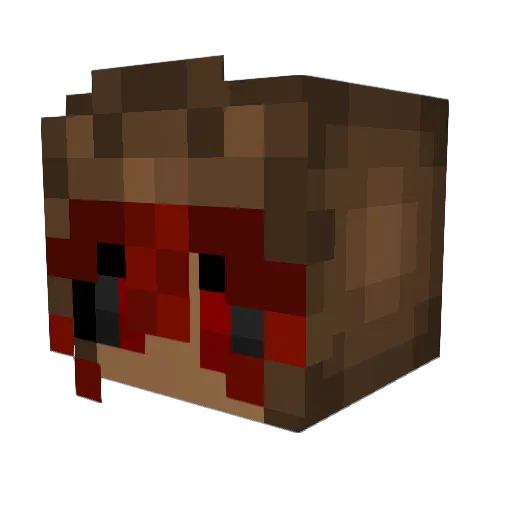 RapidMarshall27 Minecraft avatar head, 3D render
