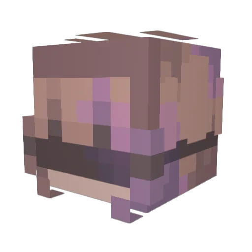 RapidNinjaLeave Minecraft avatar head, 3D render