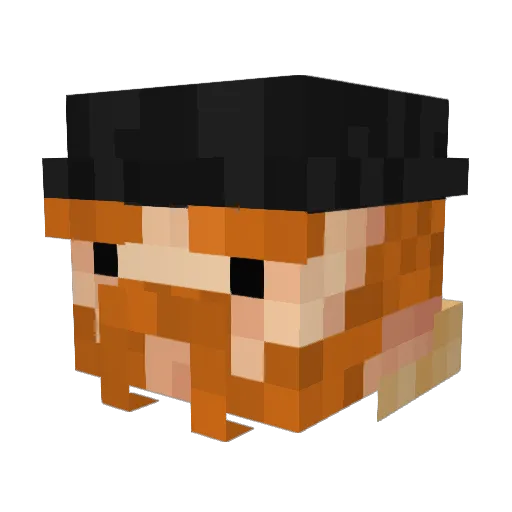 RapidR0y Minecraft avatar head, 3D render
