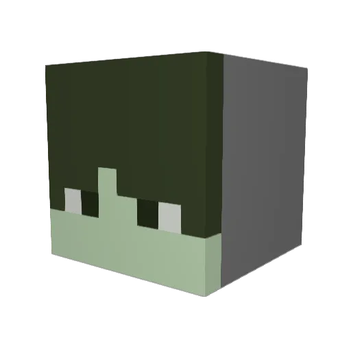 Rapid_Heatwave Minecraft avatar head, 3D render
