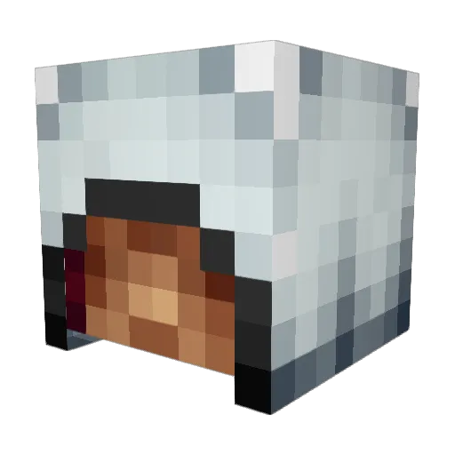 Rapiddagger Minecraft avatar head, 3D render