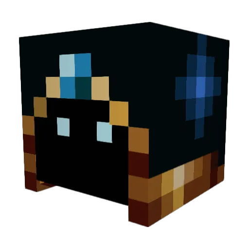 Rapidfire101 Minecraft avatar head, 3D render