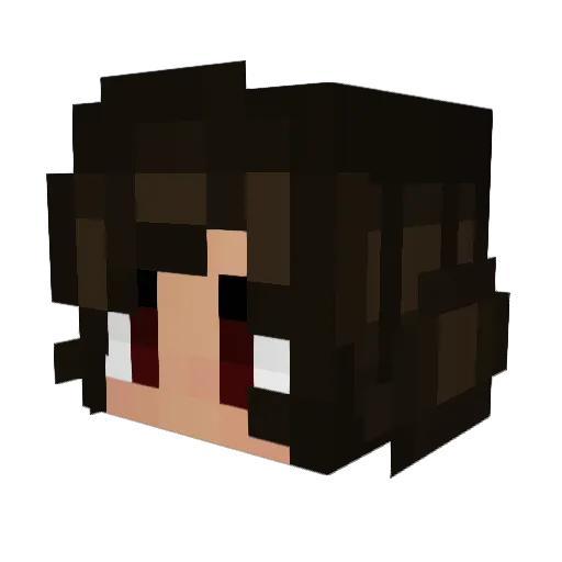 Rapikor Minecraft avatar head, 3D render