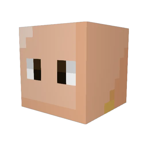 RapinAndStackin Minecraft avatar head, 3D render