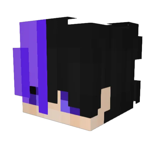 Rapos4 Minecraft avatar head, 3D render