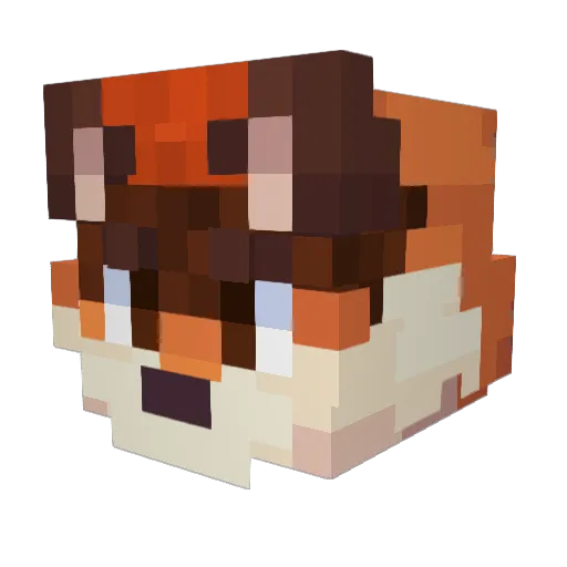 RaposoXinim Minecraft avatar head, 3D render