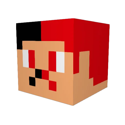Rappi1155 Minecraft avatar head, 3D render