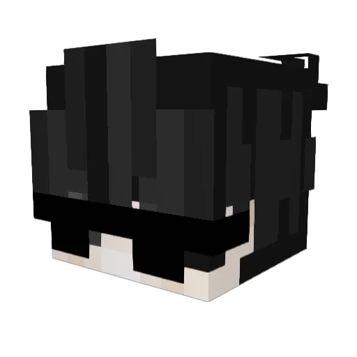 Rappot Minecraft avatar head, 3D render