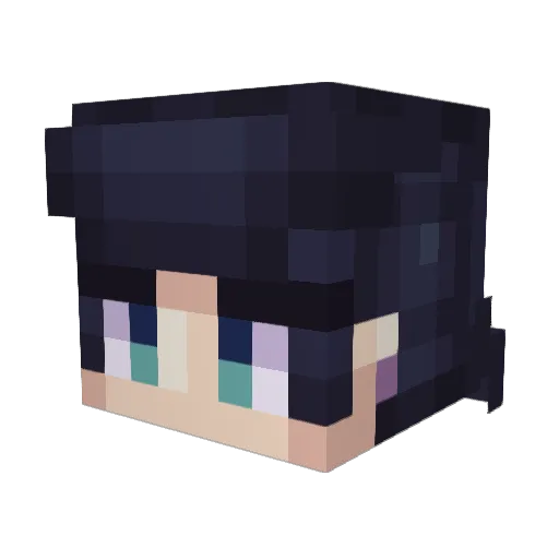 Rapt0r667 Minecraft avatar head, 3D render