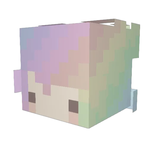 Rapt0rrr Minecraft avatar head, 3D render