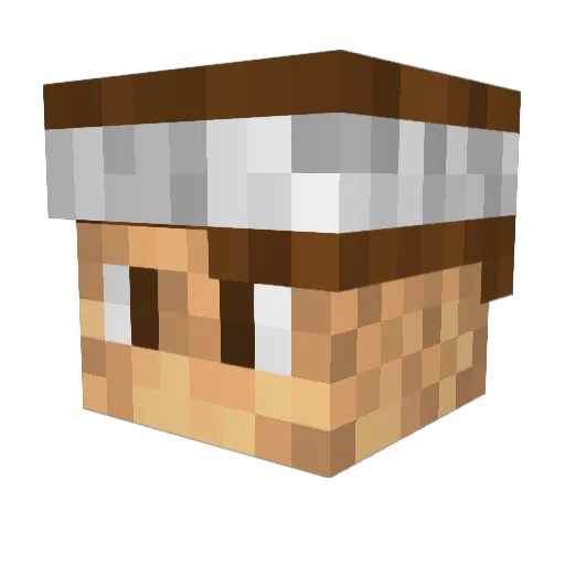 Raptinor Minecraft avatar head, 3D render