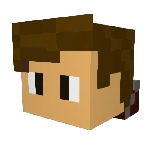 Raptor030 Minecraft avatar head, 3D render
