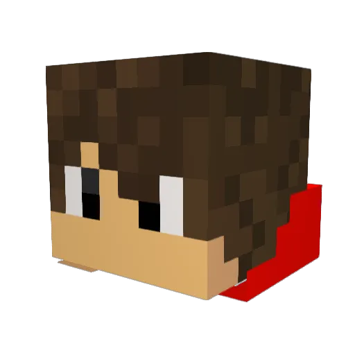 Raptor1153 Minecraft avatar head, 3D render