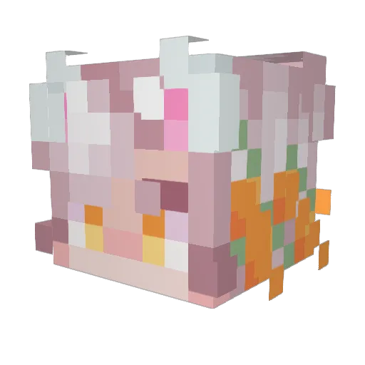 Raptor1296 Minecraft avatar head, 3D render