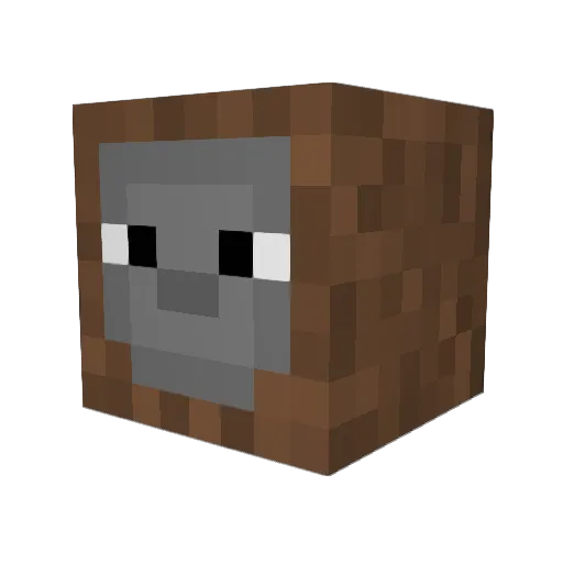Raptor29w Minecraft avatar head, 3D render