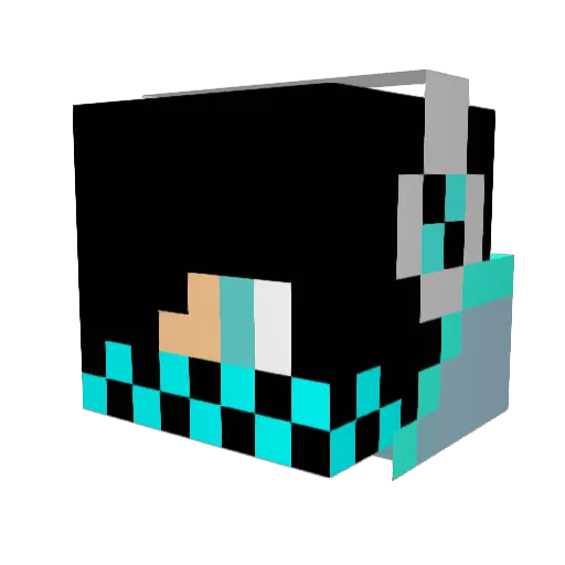 Raptor369 Minecraft avatar head, 3D render