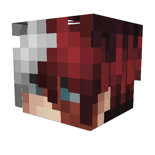 Raptor3X Minecraft avatar head, 3D render