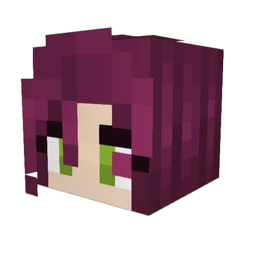 RaptorGod2002 Minecraft avatar head, 3D render