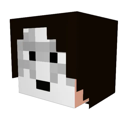 RaptorKitchen Minecraft avatar head, 3D render