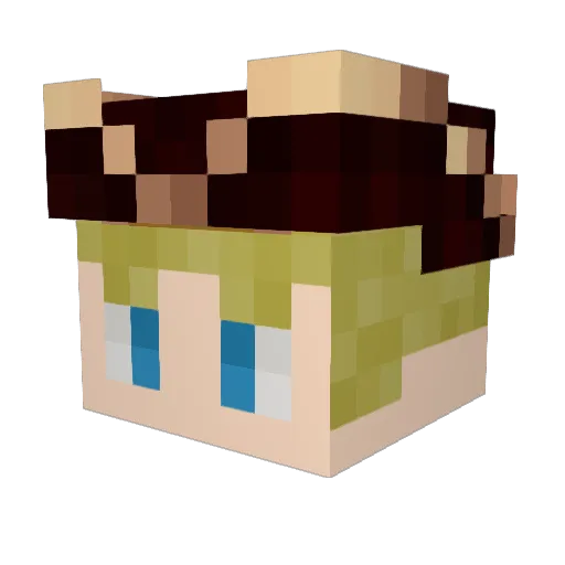 RaptorMaster113 Minecraft avatar head, 3D render