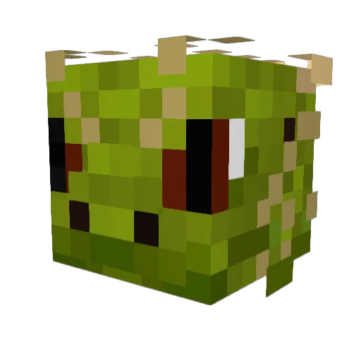 RaptorPlays_ Minecraft avatar head, 3D render