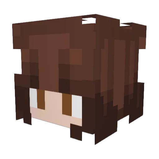 RaptorX117 Minecraft avatar head, 3D render