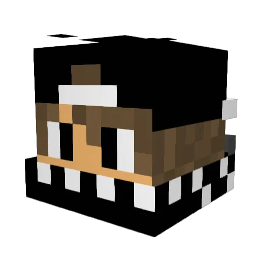RaptorX2008 Minecraft avatar head, 3D render