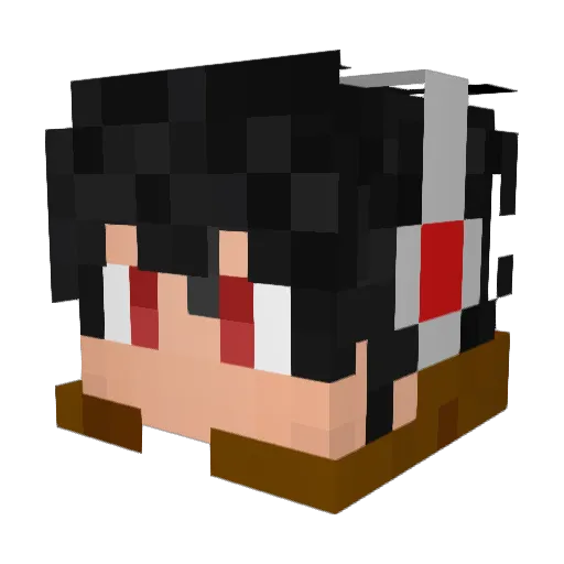 RaptorYT98 Minecraft avatar head, 3D render