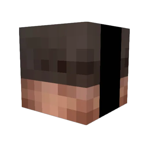 Raptor_12345 Minecraft avatar head, 3D render
