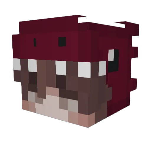 Raptor_Goomer Minecraft avatar head, 3D render