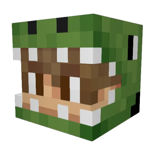 Raptordude1234 Minecraft avatar head, 3D render