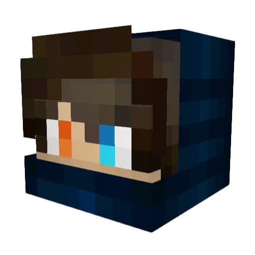 Raptorgg553636 Minecraft avatar head, 3D render