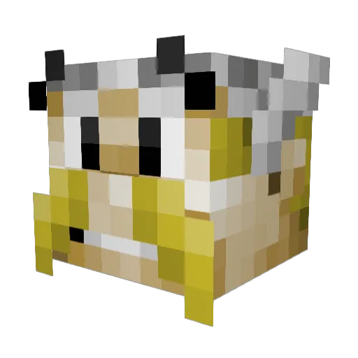 RaptoriusIII Minecraft avatar head, 3D render