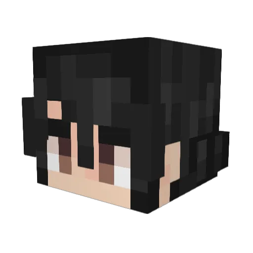 Raptorofwar Minecraft avatar head, 3D render