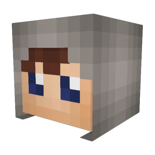 Rapture_NwC Minecraft avatar head, 3D render