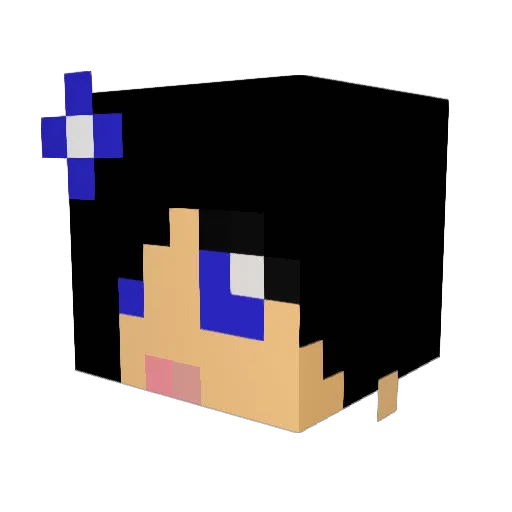 RaptusCorgi112 Minecraft avatar head, 3D render