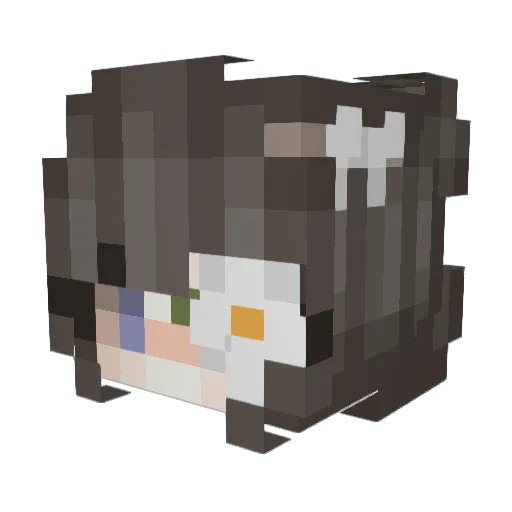 RaptusJoE Minecraft avatar head, 3D render