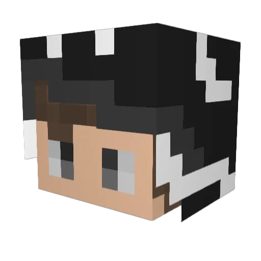 RaptusPuellae Minecraft avatar head, 3D render