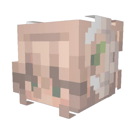 Rapunzel1123 Minecraft avatar head, 3D render
