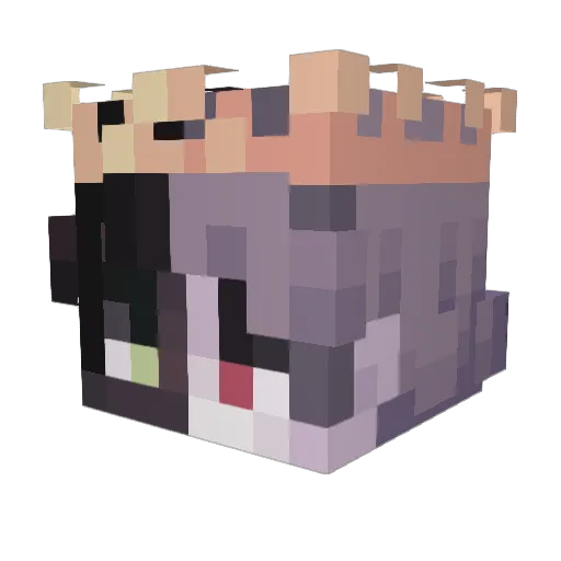 RapyKusza123Losz Minecraft avatar head, 3D render