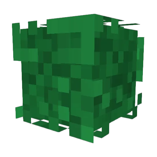 Raqkaaq Minecraft avatar head, 3D render
