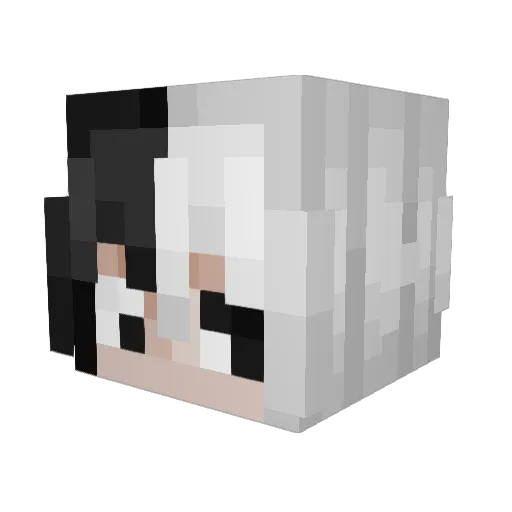 Raqtor_ Minecraft avatar head, 3D render