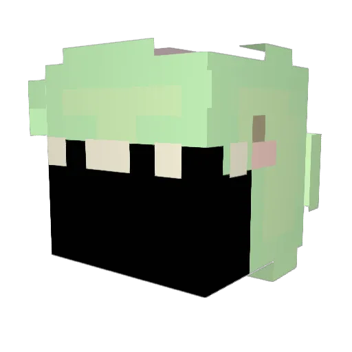 Rara123446 Minecraft avatar head, 3D render