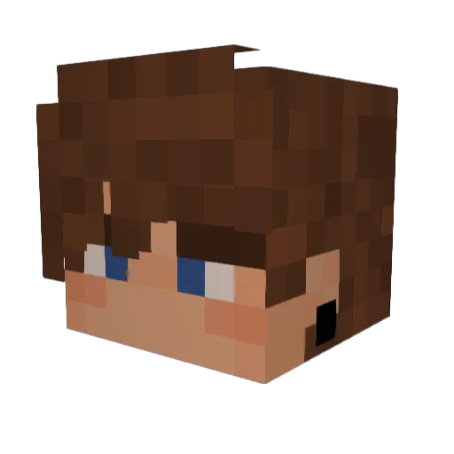 RaraCool Minecraft avatar head, 3D render